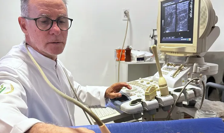 Veterinário da Intervet fazendo ultrassom em um cão